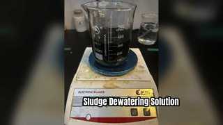 স্লাজ ডিওয়াটারিংয়ের জন্য রিটেনশন এজেন্ট